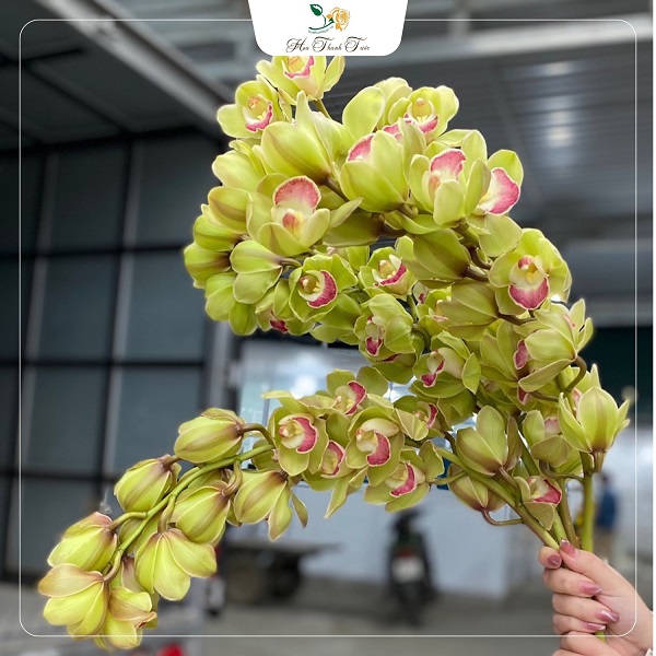 337398657_753009799509545_6956623368409155781_n