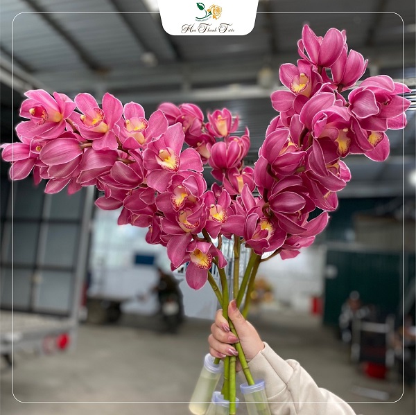 337553462_1305177166697224_1829405697437749012_n