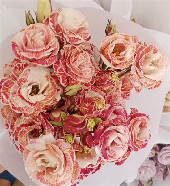 Lan Tường Nhuộm