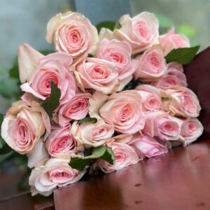 Ohara hồng Đà Lạt